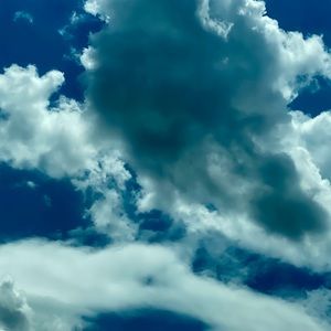 Meet your Posher, Willow